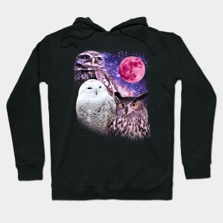 Three Owl Moon Hoodie